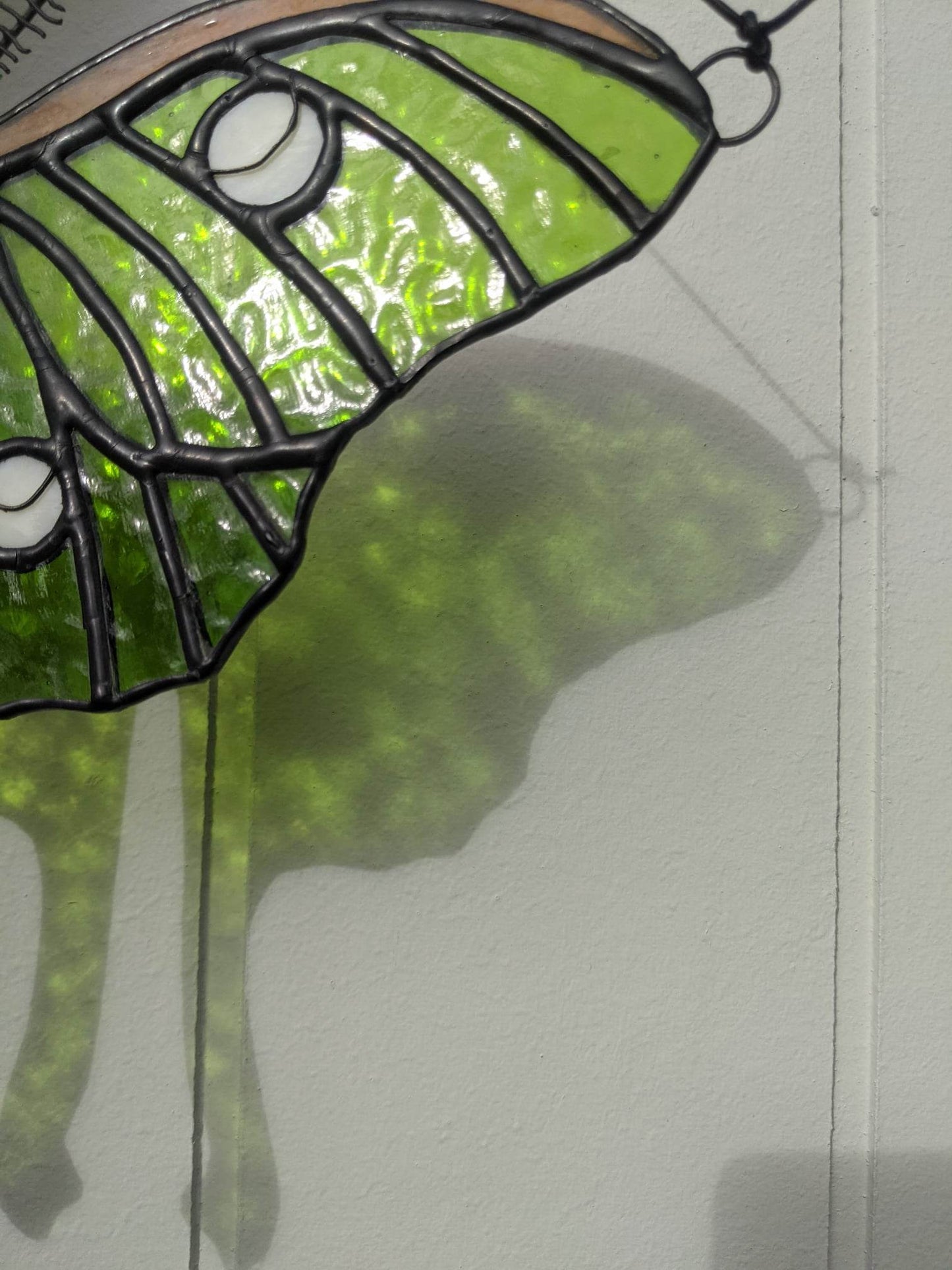 Luna Moth