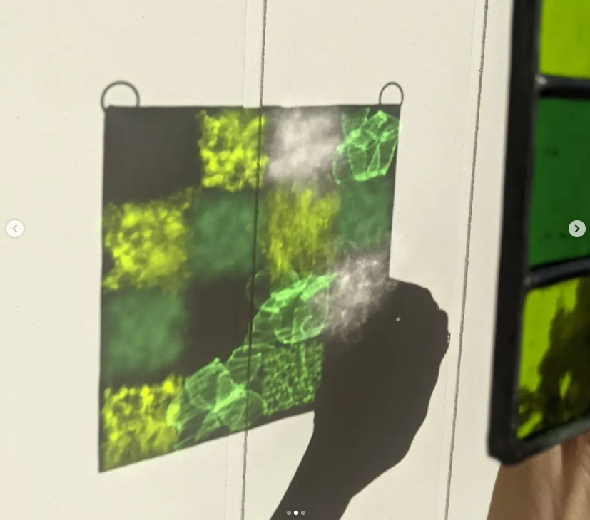 4 x 4 Square Panel - Green