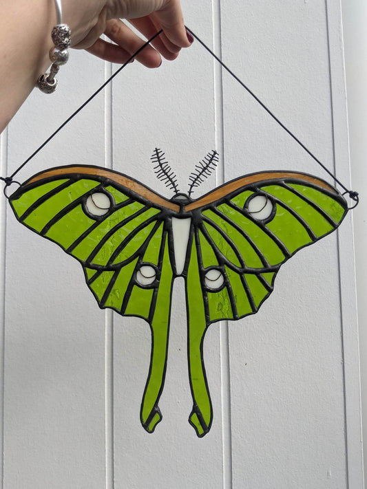 Luna Moth